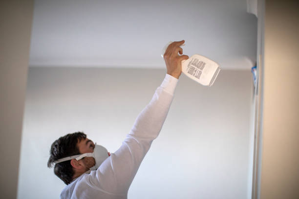 Best Fast Mold Removal  in Rineyville, KY